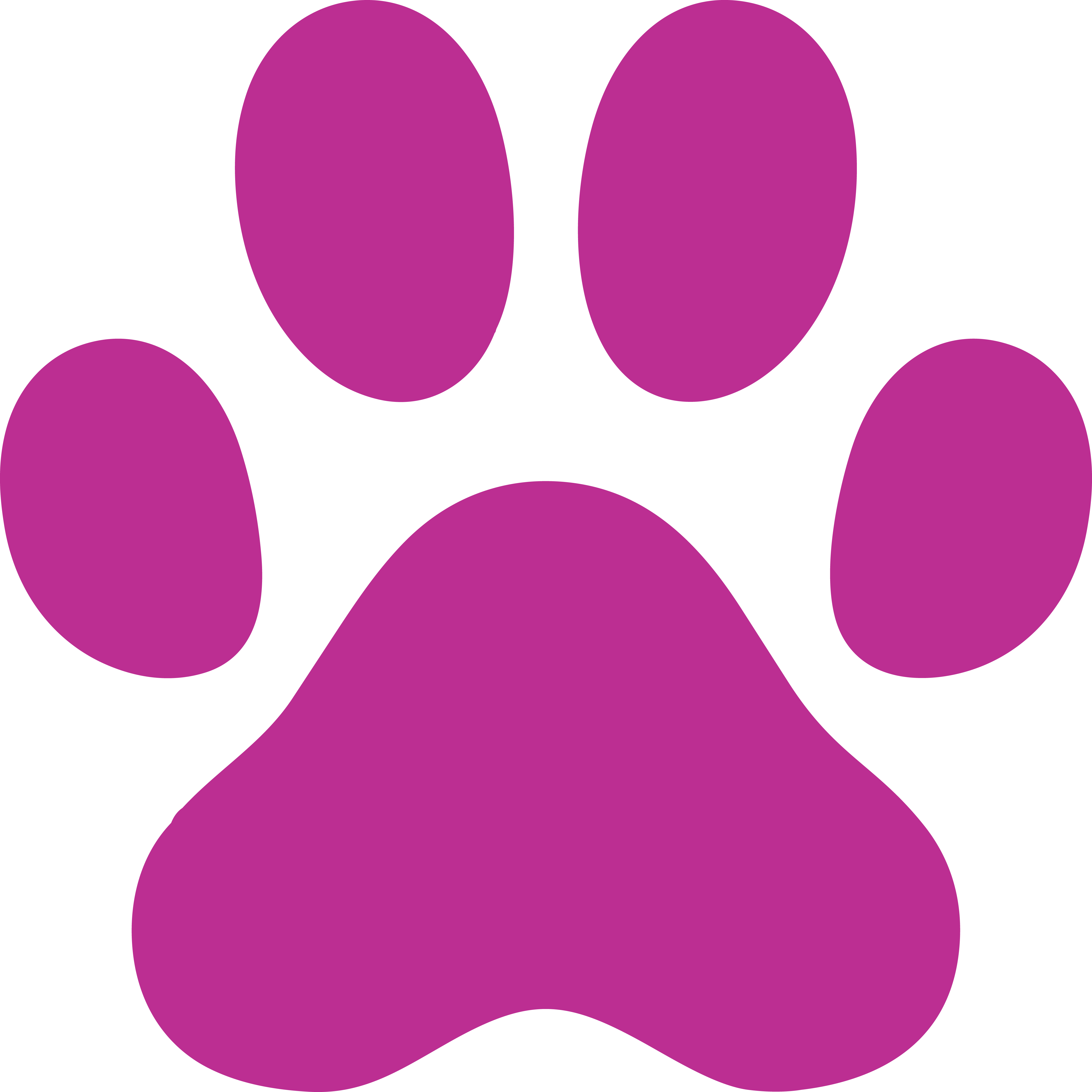 Heaven of Animals